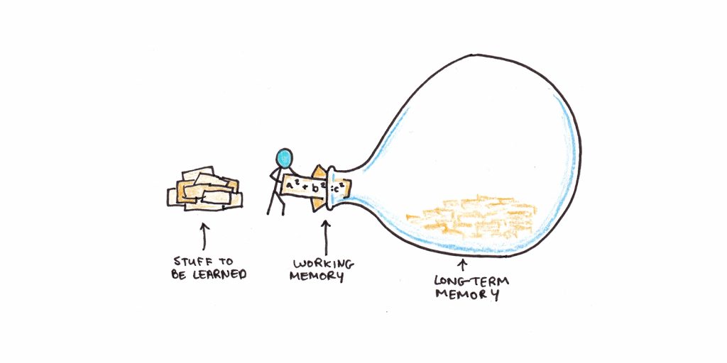 Busting a neuromyth: more information = better learning?